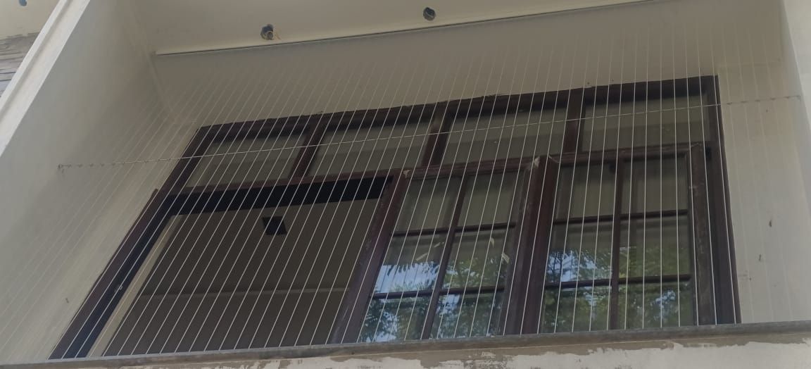 Upward exterior view of a recessed dark-framed window protected by closely spaced vertical invisible grill wires.